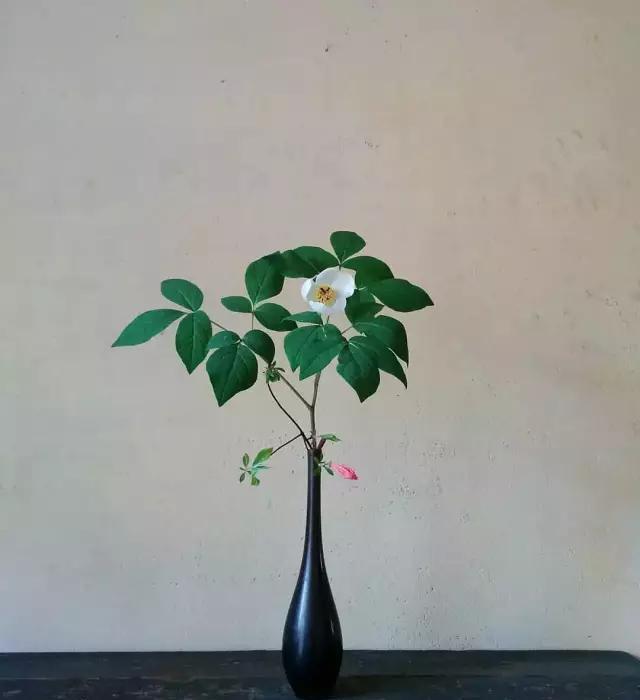 『阵子』42例插花欣赏!一辈子,总要插一次花!