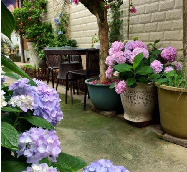悠哉悠哉，雅致古朴的风格，每个养花人梦想的小院