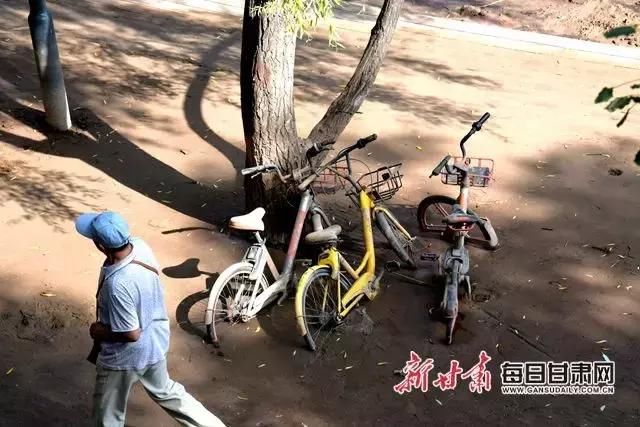 黄河水终于退了，岸边成了这样……