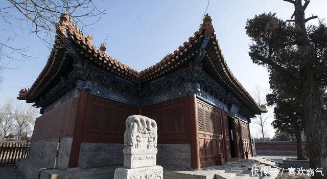 我国最强的钉子户，鸟巢是它的邻居，看它彪悍的人生！