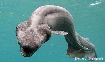 传说中国出现的7位神秘水怪