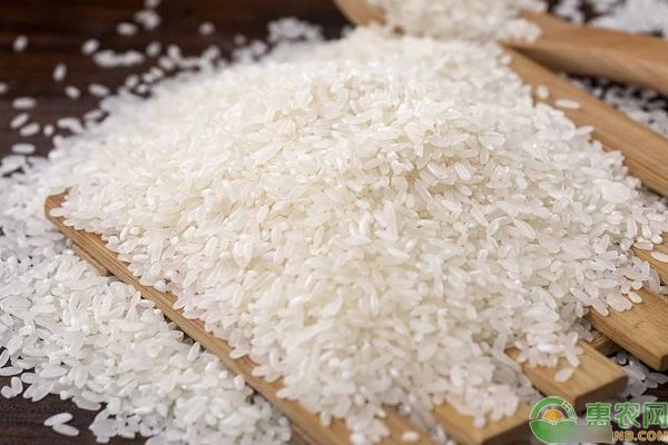  [价格]最贵的大米多少钱一斤？中国最贵大米排行榜