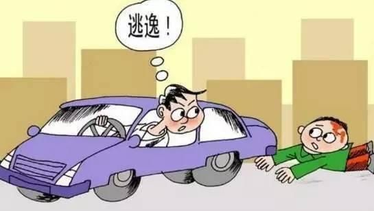 邯郸女子驾车肇事逃逸，丈夫录视频传谣称交警讹钱被处罚！