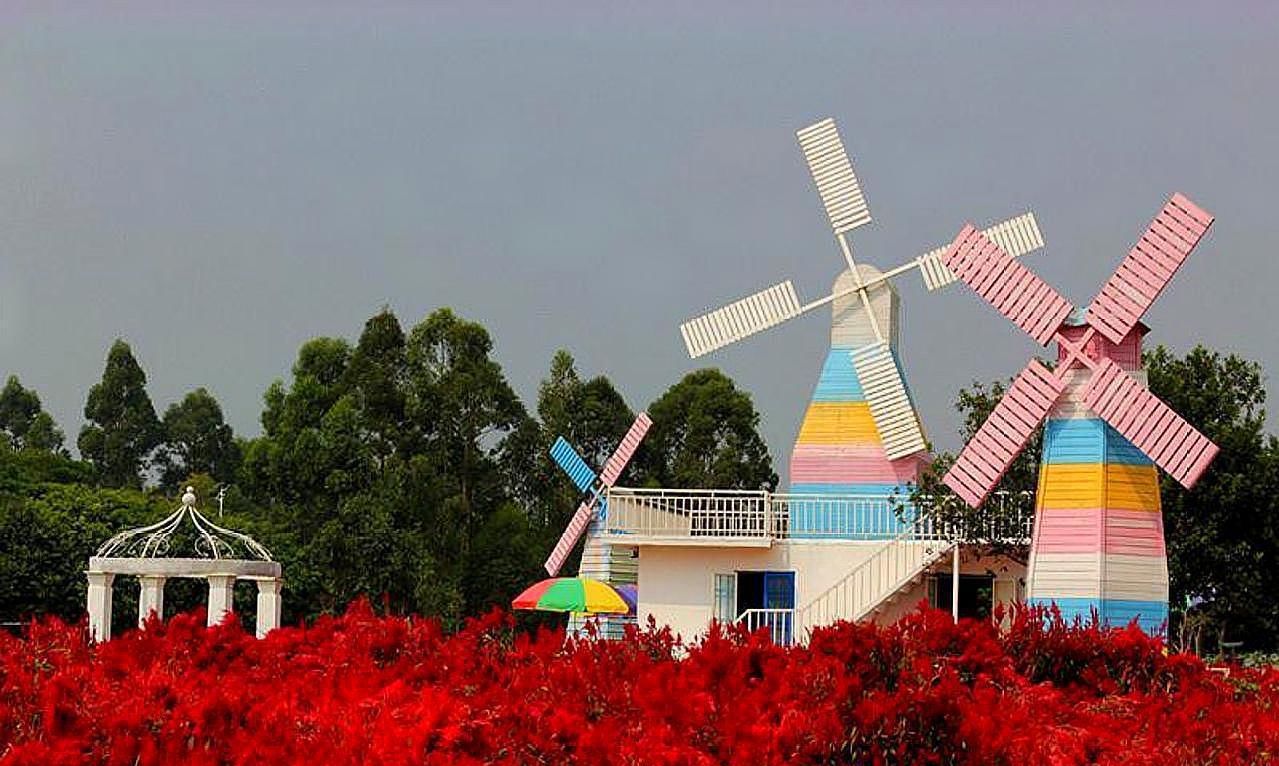 广东最“上进”的城市，不是佛山、珠海，而是这座城市