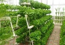  适合|2020年适合农村创业好点子，开年第一波，低成本高收入