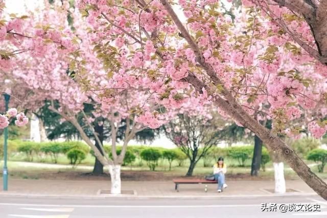 春天最美的十二个地方，你最想去哪个？