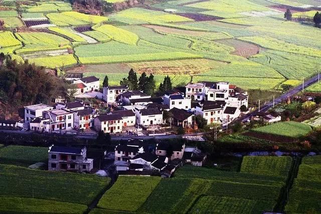 三月,去看中国最美春光