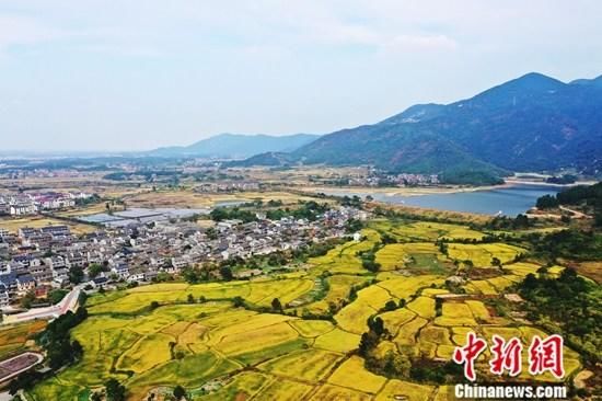  「官方」官方：建立进城落户农民自愿有偿转让退出农村权益制