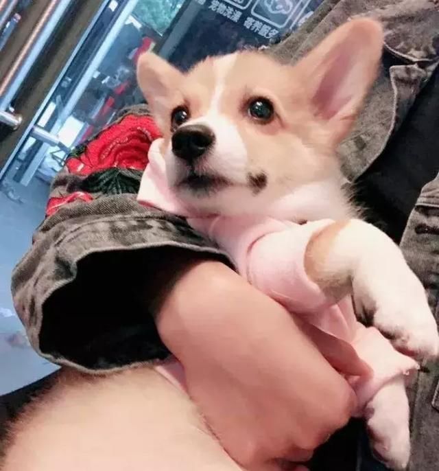 不想说大妈捡手机讹钱恶心，直到今天发现有人带假抗癌药去印度！