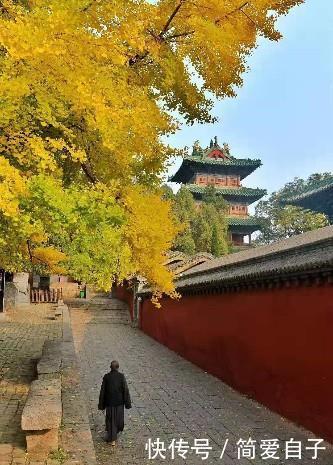 「合适」人生路需要一双鞋,苦乐之后自己体会,鞋合不合适只有脚知道!