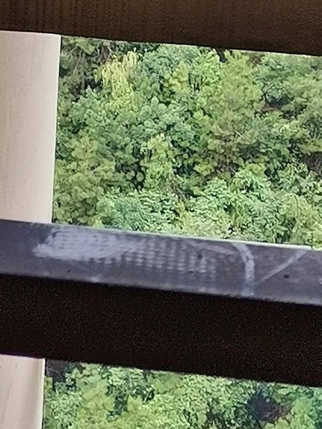  住户|从45楼往下爬，入室盗窃20余起！贵阳“飞天贼”专盯这类住户…