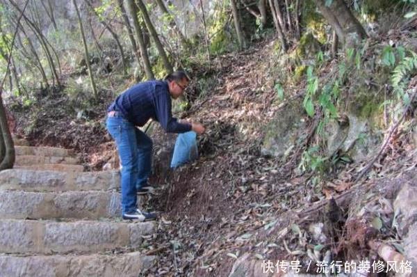  【腐殖土】养花就用这种“万能土”，1年不施肥，叶子疯长，养啥都“爆”！