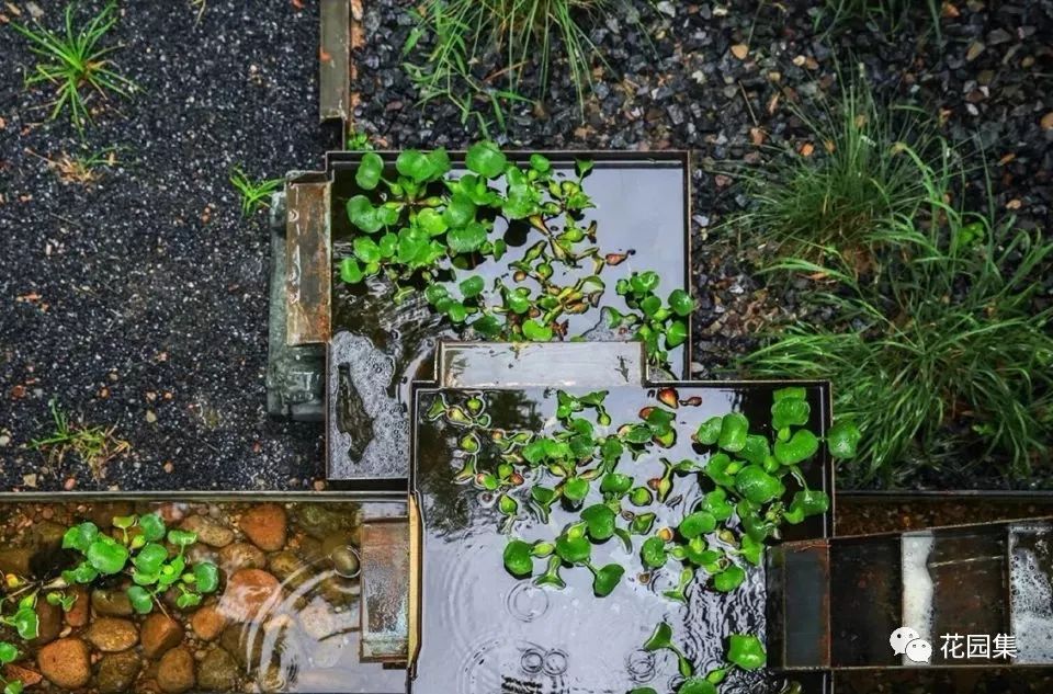 你的花园会呼吸吗？