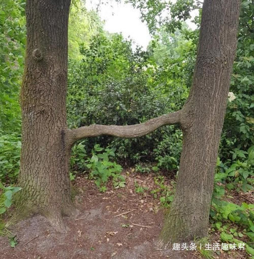 14张不可思议的照片，证明大自然比想象中更独特