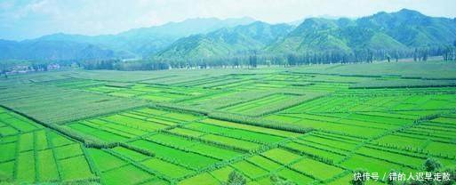 农业补贴迎来重大调整，将新增三项补贴，玉米秸秆处理也纳入补贴