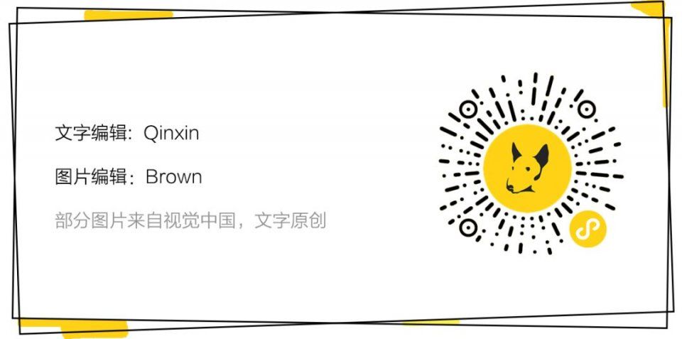 看热闹 | 这些人跑到黄浦江边比谁钻石大，你猜比伯嫂的排第几?