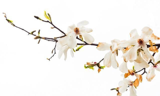  「闺蜜」幽默段子：原来，我们是娱乐出来的