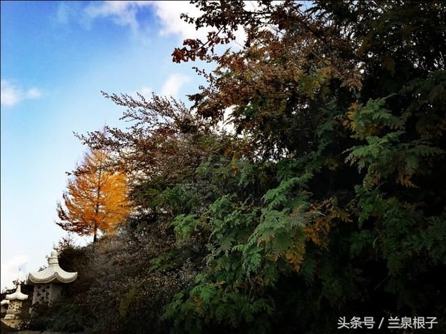 兰州秋天最美的景 北国南地石佛沟