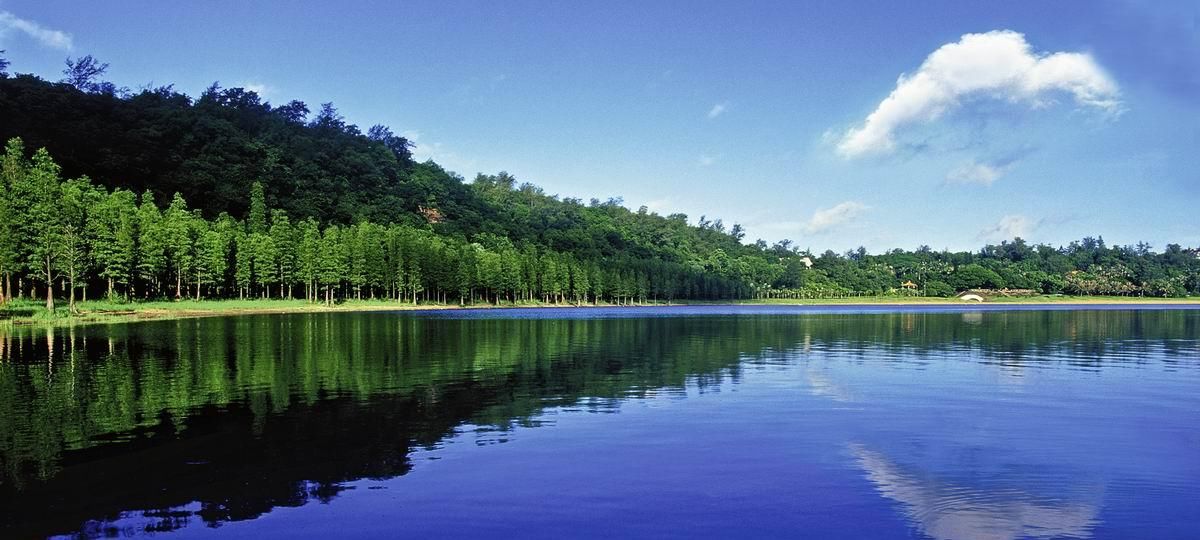 广东被遗忘的湖泊，是中国乃至世界最大的湿玛珥湖，湖深20多米