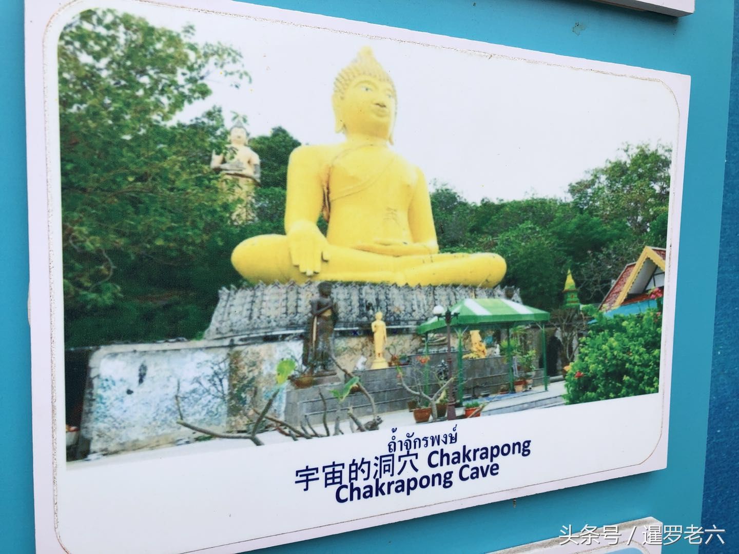 泰国景区的中文翻译有点“雷人”!中国司机、宇宙洞穴到底是啥?