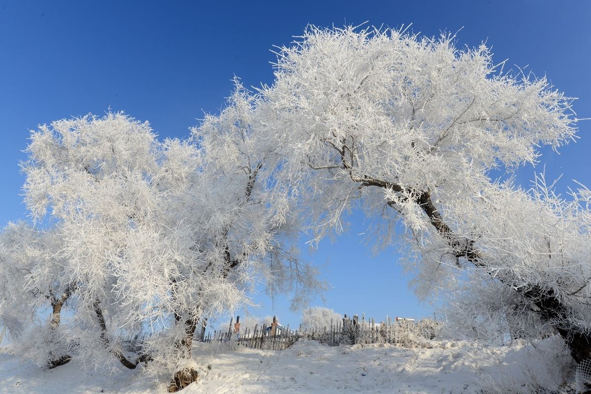 中国粮食第一省：粮食产量达7507万吨，全国近1/3的人靠此省养活