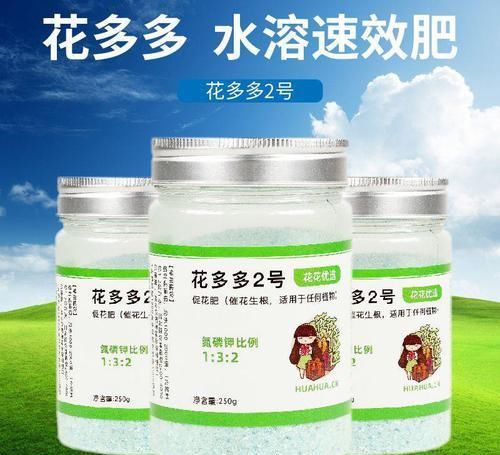  「抗冻」给花喂点抗冻肥，叶子又肥又绿，越长越有劲儿！