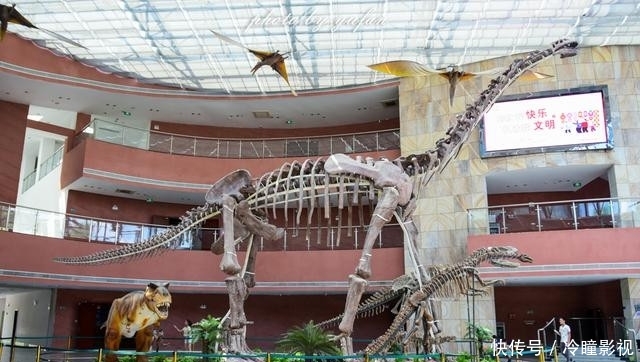  #恐龙蛋化石#世界上恐龙蛋最多的地方竟然就在广东，密密麻麻，