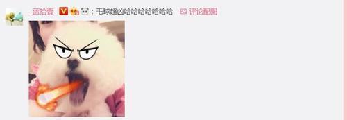 人红是非多!赵丽颖停工谣言四起,她晒出一张图,真相大白!