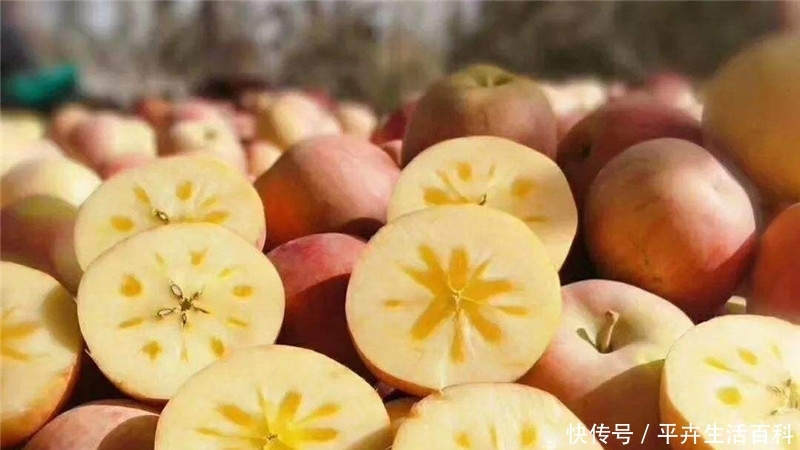  冰糖心苹果|年产量不足10万吨，却“卖”出几百万吨，一斤8元，