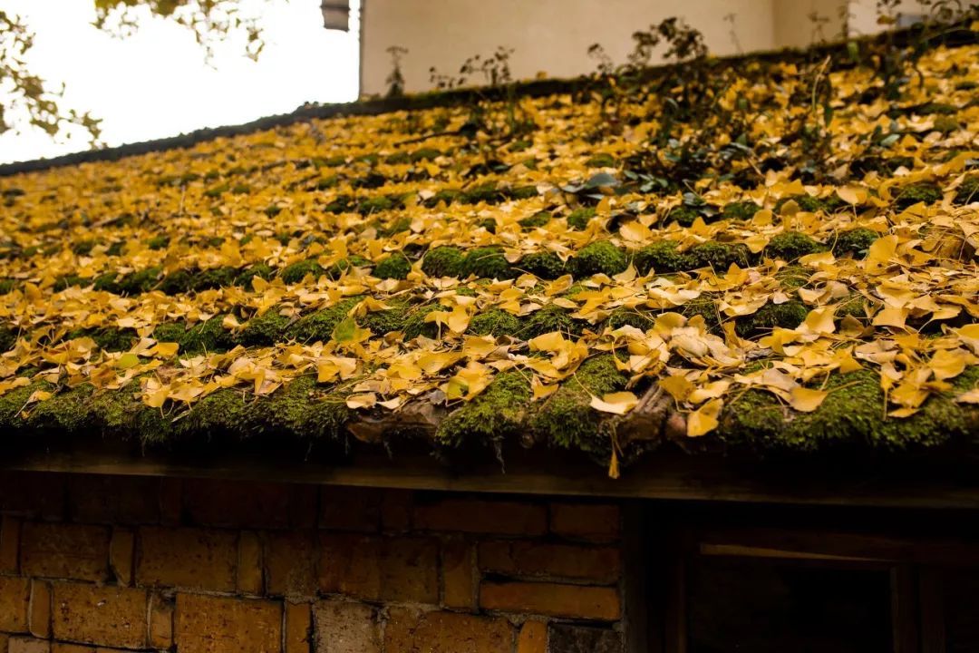 10个藏在深山人不知的古村落，却是世外桃源