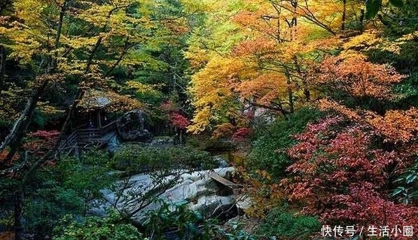 西安秦岭这个地方，秋季美成天堂，霸占北方最绚烂秋景