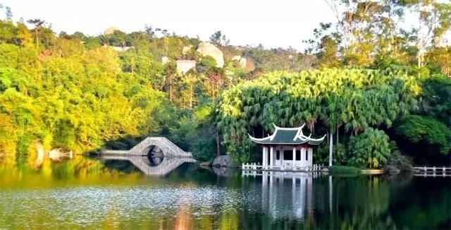 爱上厦门,何须千言万语,只一眼,便已认定