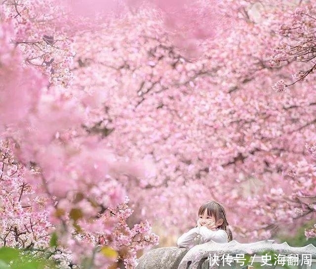 #银莲花#这十种春天开的花,把它请进你的家,让春天的鲜花走进你的生活
