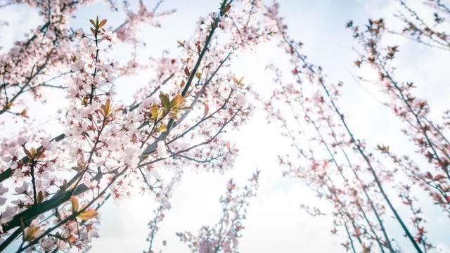  「贵州」贵州，活该你上热搜！