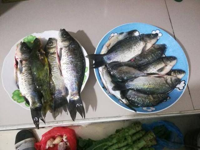  这方面■今天钓鱼把人得罪了，好像关于钓鱼的这方面，最容易得罪人了吧！