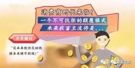 『名字』听名字以为是鸟,实际是“养不死”的绿植,不浇水都能蹭蹭长