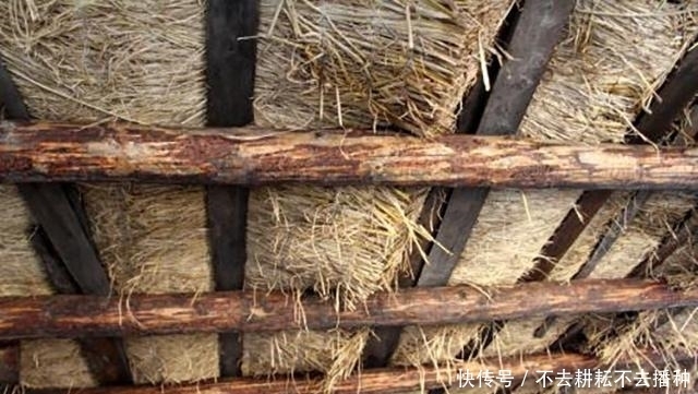  「小贩」为什么很多人到农村收旧房梁，“烂”木头有啥用？看完