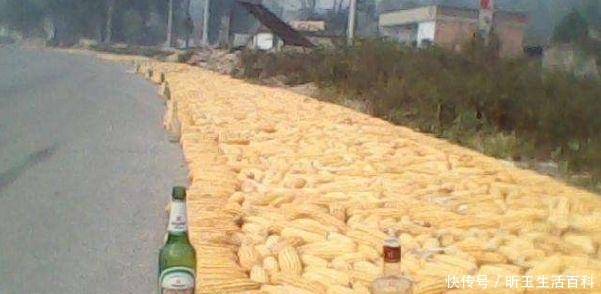  「秸秆」中秋后，村干部迎重点任务，2件事管不好要受罚，甚至取