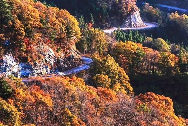 徽州秋日最美省道S215，自驾2小时前往，私藏众多秋色