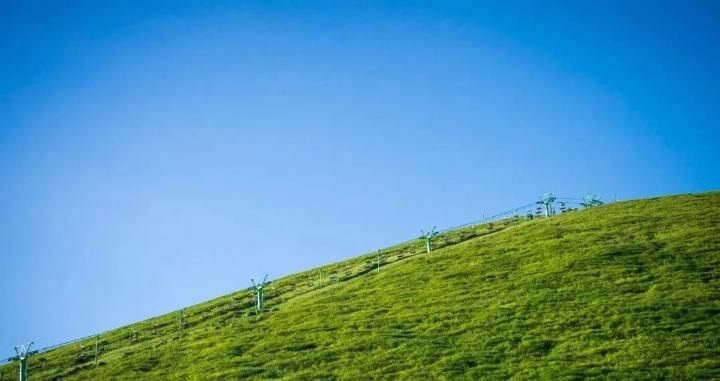 去了伊豆，才知道日本的美可以这样沁人心脾