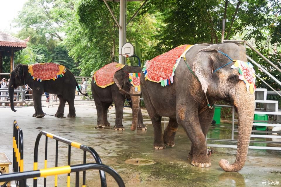  西双版纳@绿水青山就是金山银山，去西双版纳过泼水节！
