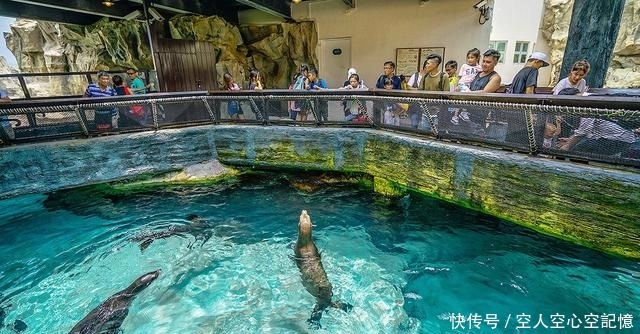 香港海洋公园的求生欲比香港迪士尼要强很多，不过目前也是很惨