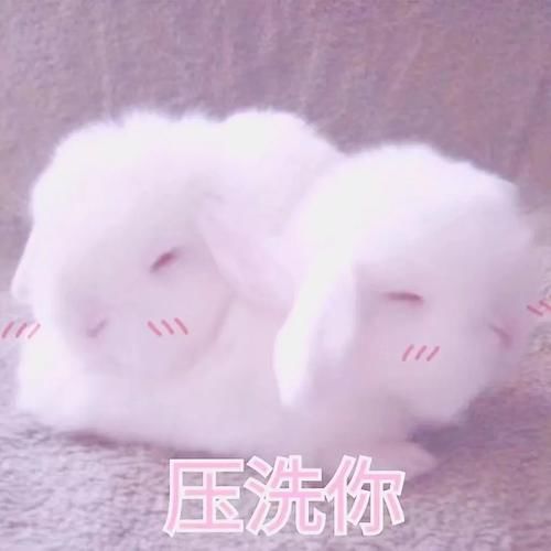 搞笑@搞笑段子:你觉得你喜欢的人,也喜欢你的时候,一般是你想多了