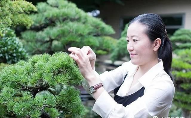  『花盆中』日本盆栽女高手山田香织