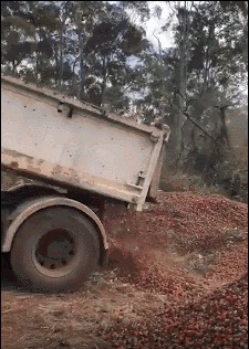 世界长寿地图:哪国居民活到70岁以上最多?澳洲排在这里…