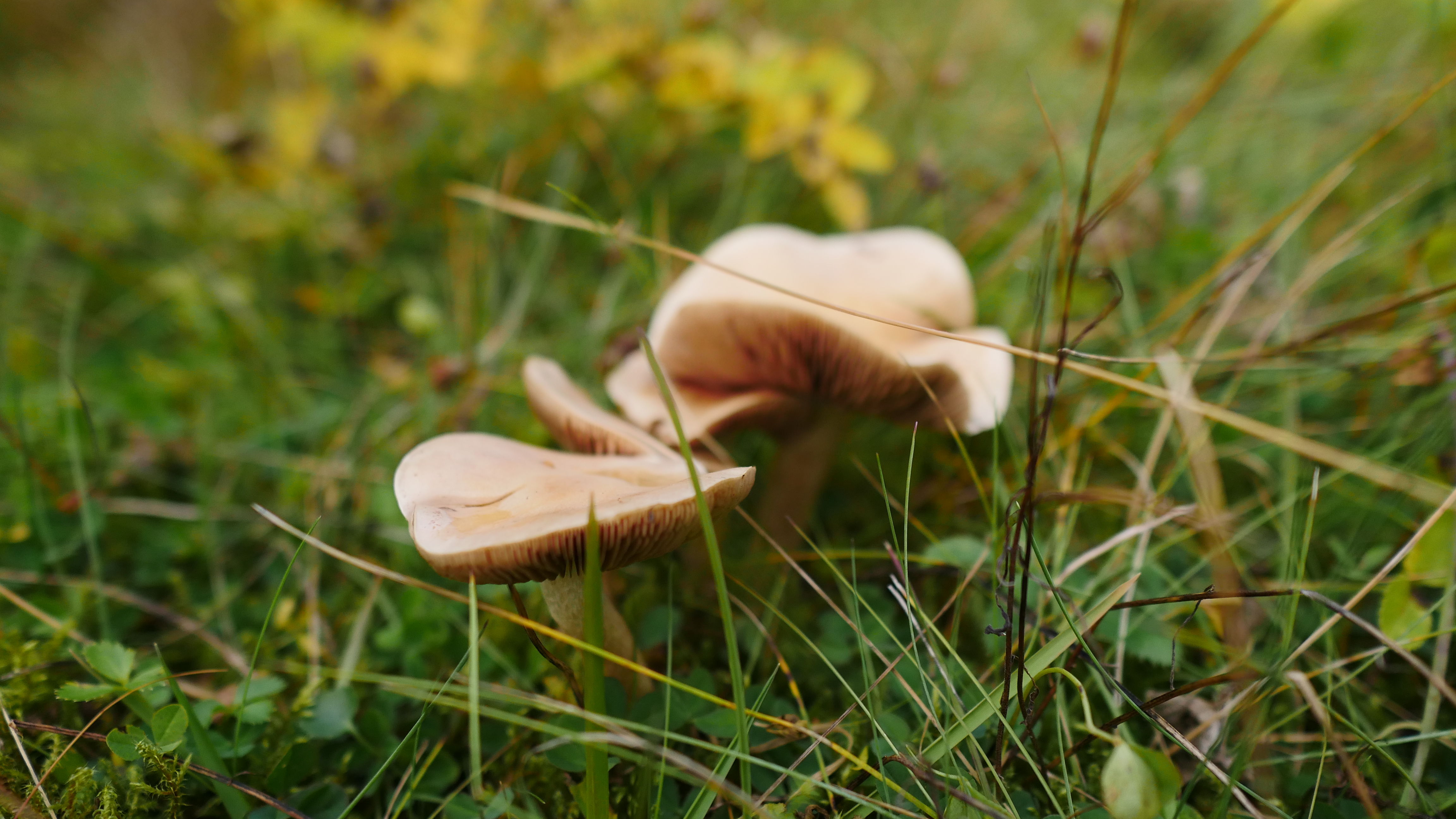 一起去世界的尽头流浪 冰岛历险记（中）