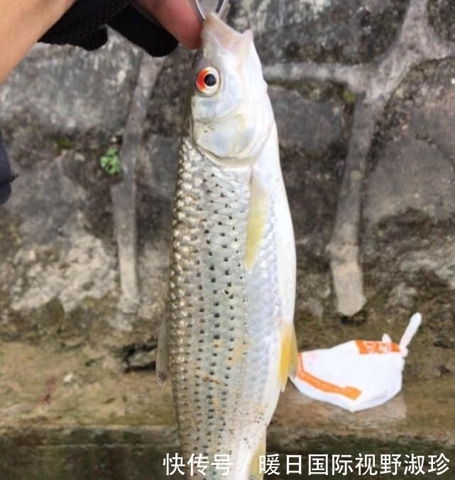 浪费时间:阴雨天鱼口会更好?不懂分辨真正好天气,出门钓鱼等于浪费时间