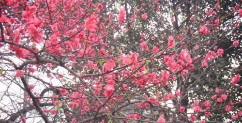 全中国自驾旅游