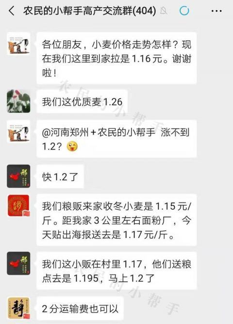  农户@年前小麦价格能涨到1.2元/斤吗？看了这些地区的价格，农户