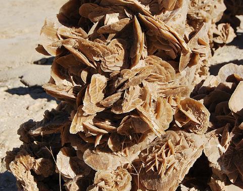 国内沙漠上竟出现了“玫瑰”向导:最好捡回去收藏!